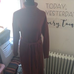 Sweater/turtleneck dress NWT